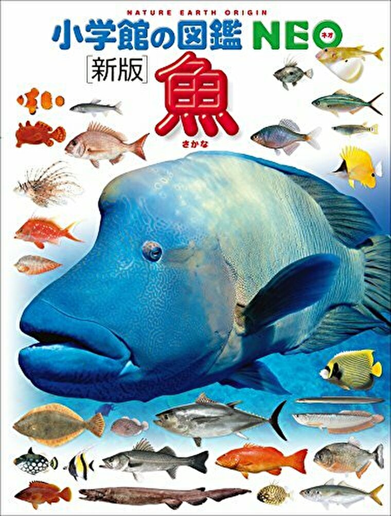 おすすめ図鑑はどっち 小学館の図鑑neo と 講談社の動く図鑑move を徹底比較してみました よなよな書房